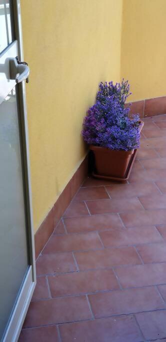 Borgo San Giorgio Apartment Castelmola Dış mekan fotoğraf